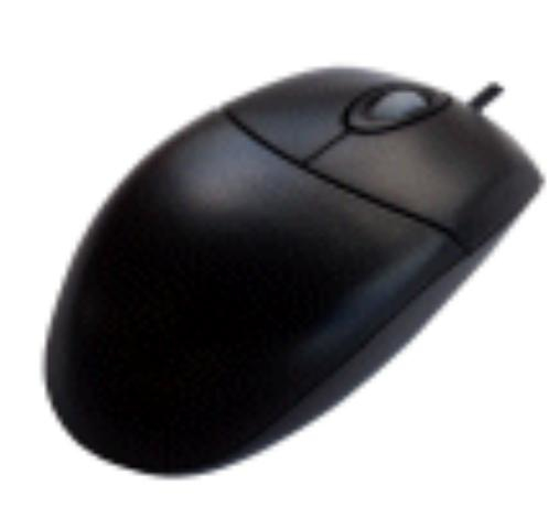 Hypertec MOUAC3331-BLKHY mouse USB Type-A + PS/2 Optical 800 DPI