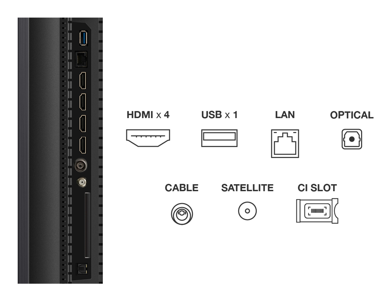 TV Tcl QD Mini LED Pro 50C79K 127 cm 2025 — photo 4