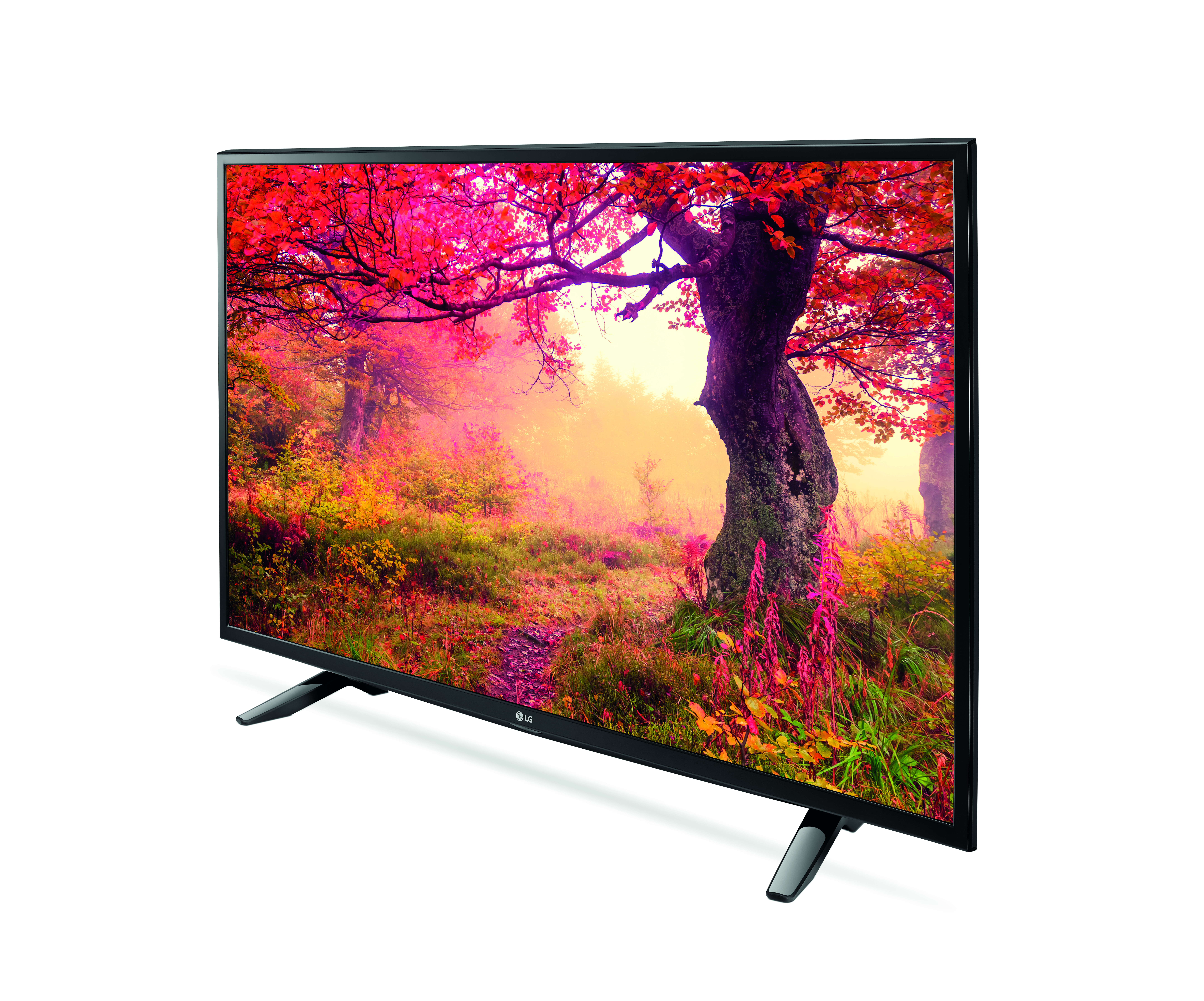 LG 49LH510V TV 124.5 cm (49") Full HD Black – image 2