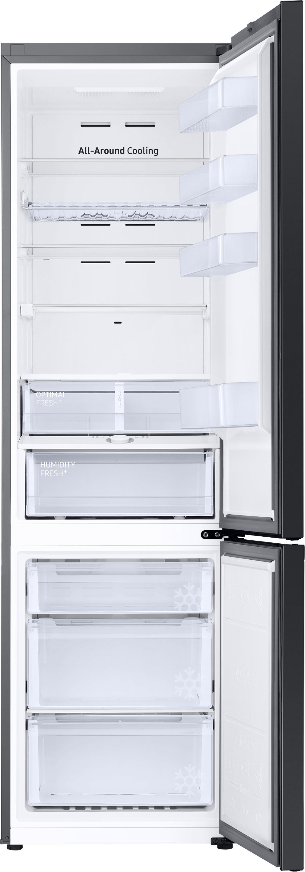 Samsung RL38A6B6C41/EG fridge Freestanding – image 2