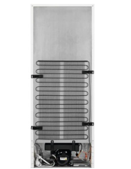 Electrolux LRB1DE33X fridge Freestanding – image 3
