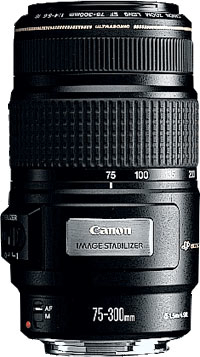 Canon EOS1000D + EF-S 18-55 + 75-300mm – image 3