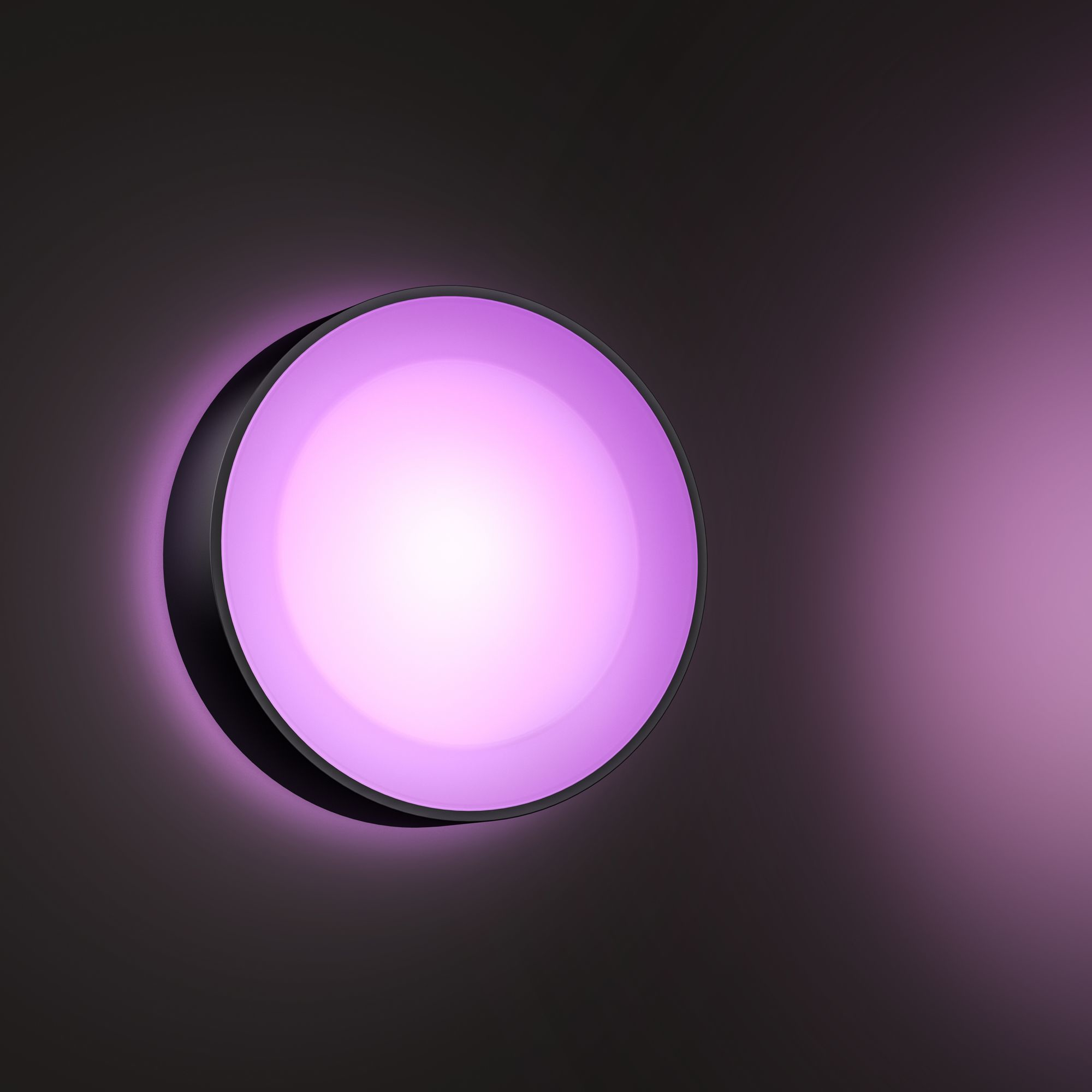 Philips by Signify Philips Hue White and colour ambience Daylo Outdoor wall light – image 5