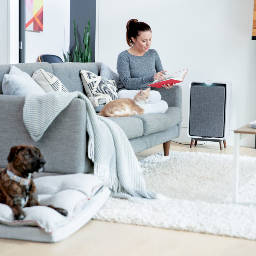Bissell air320 158 m² – image 5