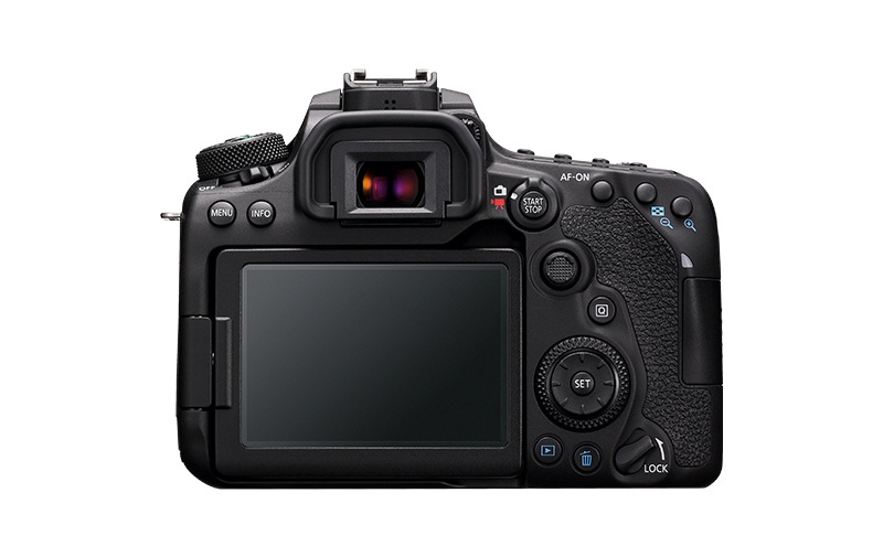 Canon 90D + EF-S 18-55mm f/3.5-5.6 IS STM – image 4