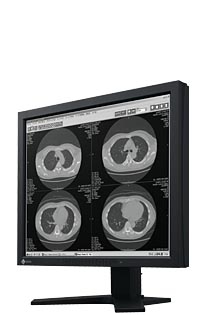 EIZO G11 computer monitor