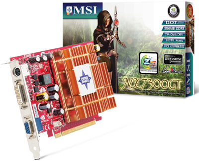 MSI NX7300GT-TD256EH 256MB DDR2 PCI-Express x16 TVout DVI