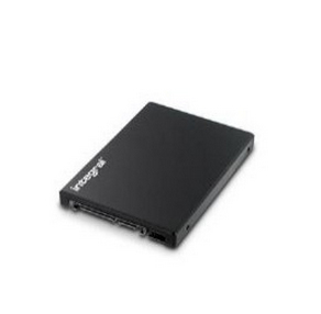 Integral INSSD128GS25MXP internal solid state drive