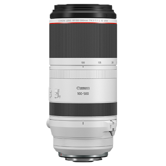 Canon RF 100-500mm F4.5-7.1 L IS USM – image 3