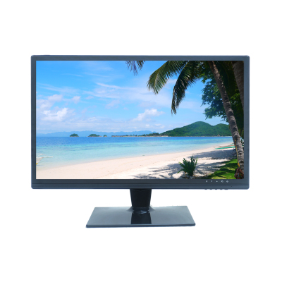 Dahua Technology LM18-L100 computer monitor