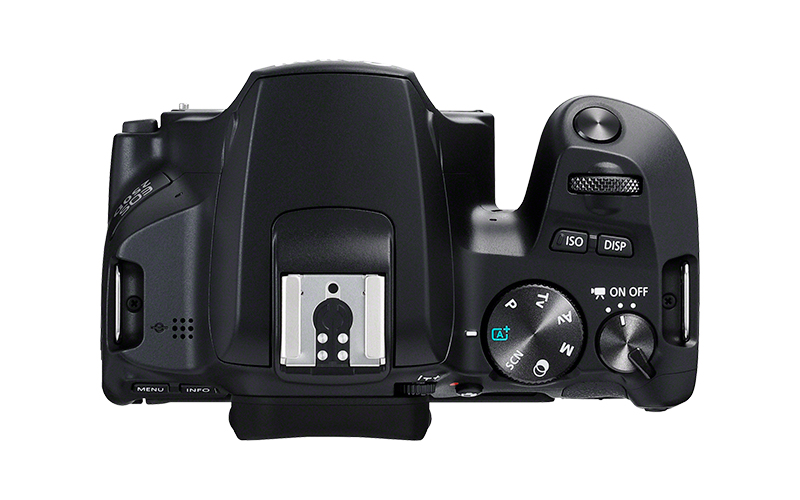 Canon 250D + EF-S 18-55mm – image 2