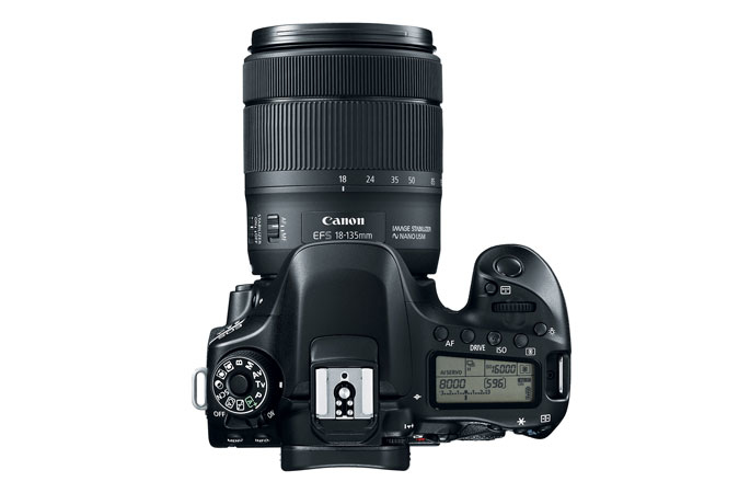 Canon 80D + EF-S 18-135 IS USM – image 7