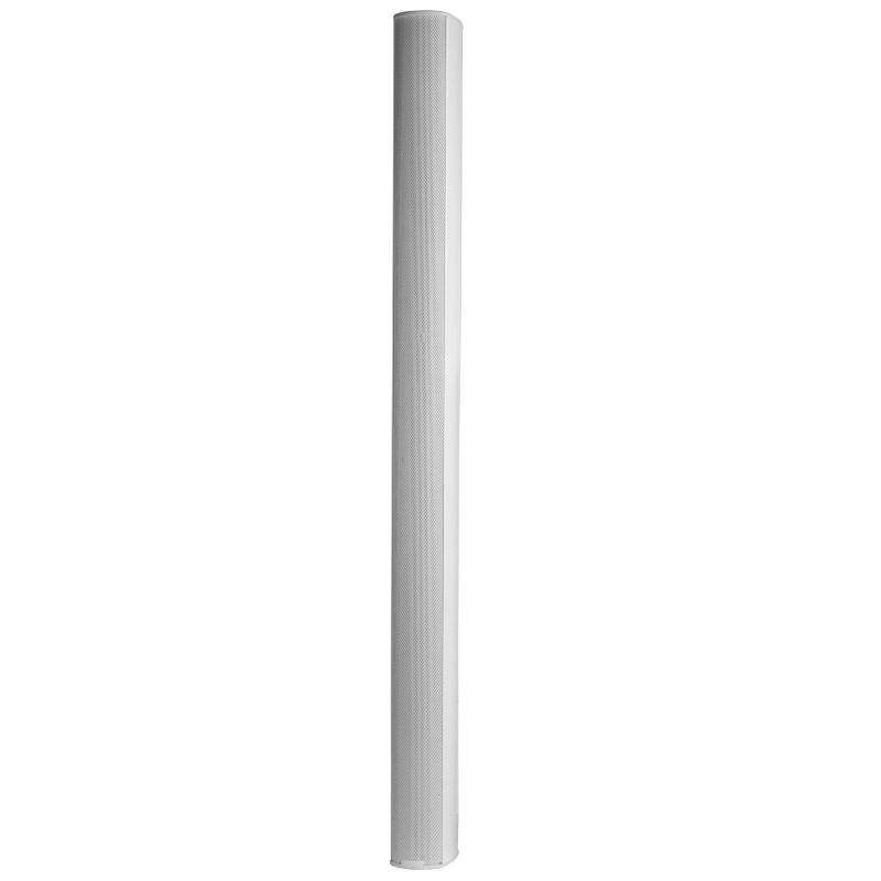 Biamp Desono ENT220 2-way White Wired