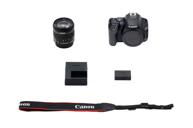 Canon Rebel SL3 + EF-S 18-55mm IS STM – image 9