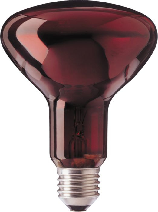 مصباح الأشعة تحت الحمراء Philips R95 IR 100W E27 230V أحمر