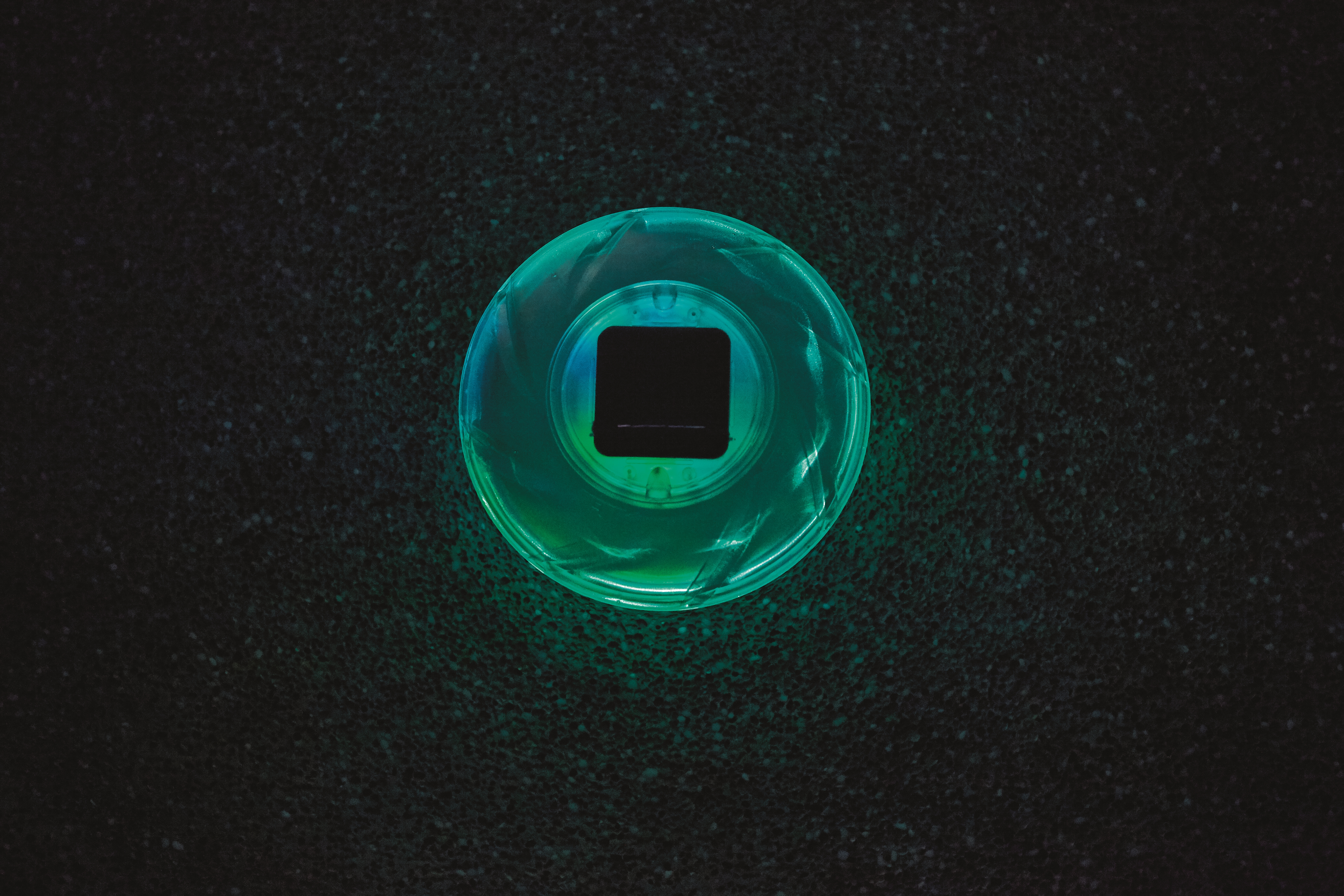 صورة Bestway Solar-Float Lamp - شفاف, LED, متعدد الألوان, 18 سم