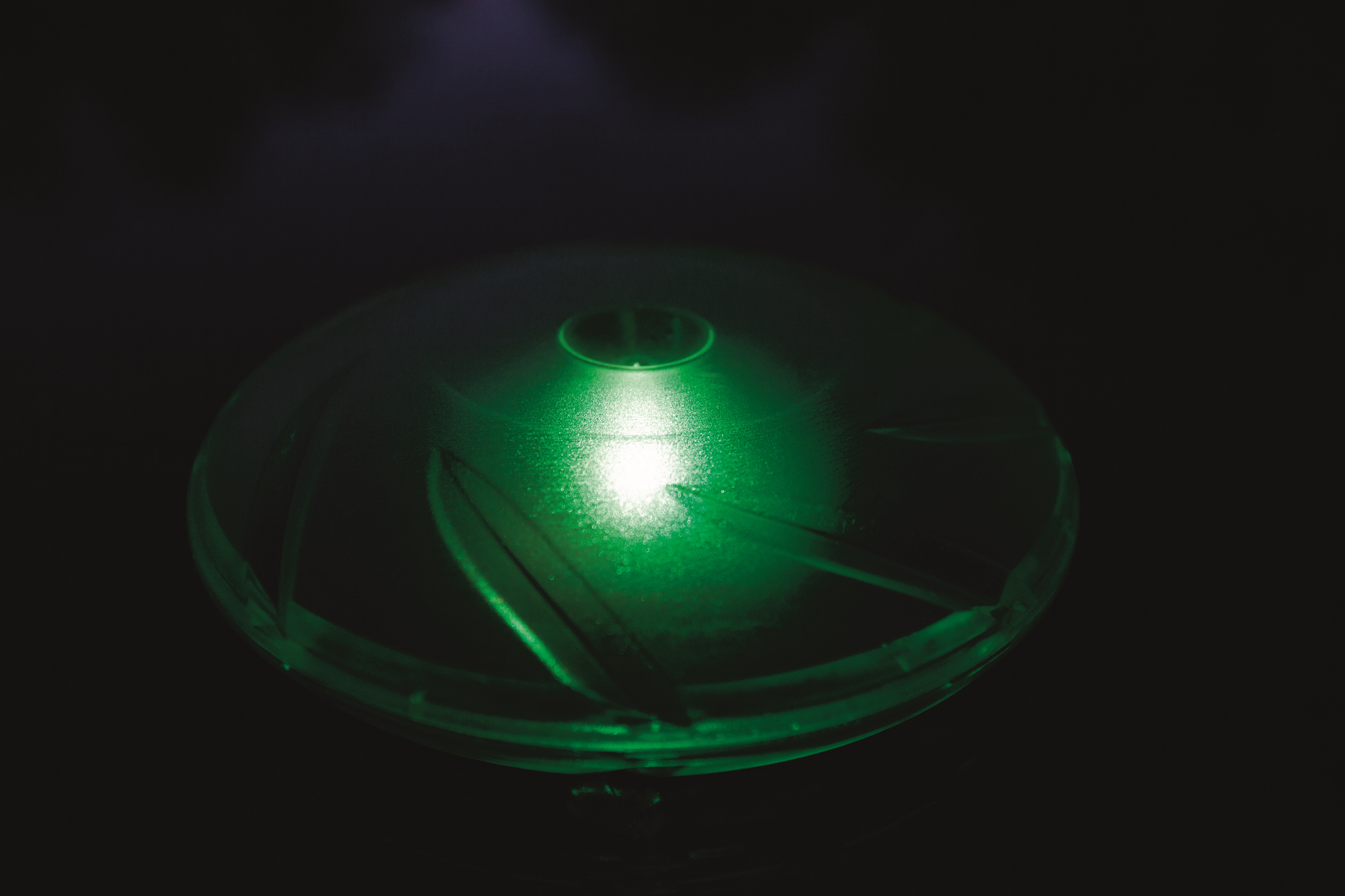 صورة Bestway Solar-Float Lamp - شفاف, LED, متعدد الألوان, 18 سم