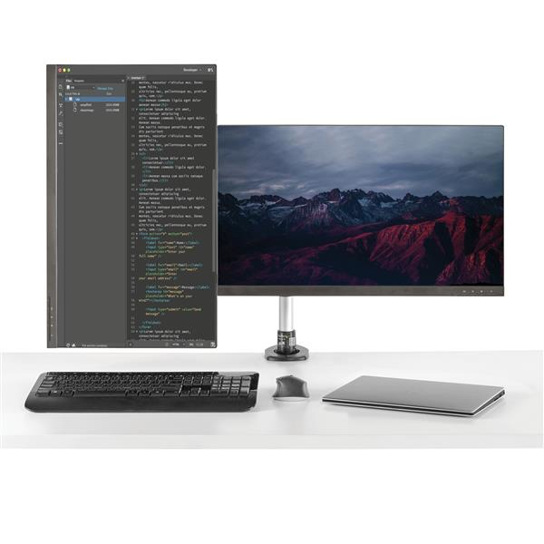 Product Gallery
