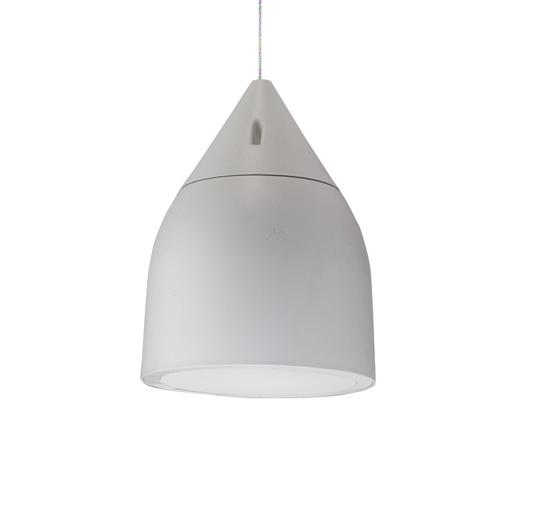 Biamp Desono DP8 Two-Way 8-inch High Output Pendant Mount Loudspeaker White