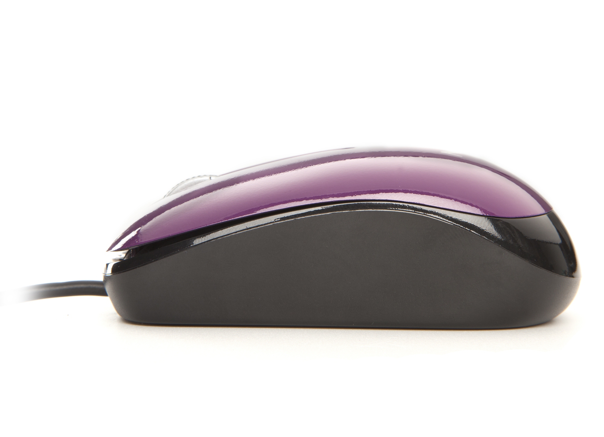 NGS Purple Flavour – image 4