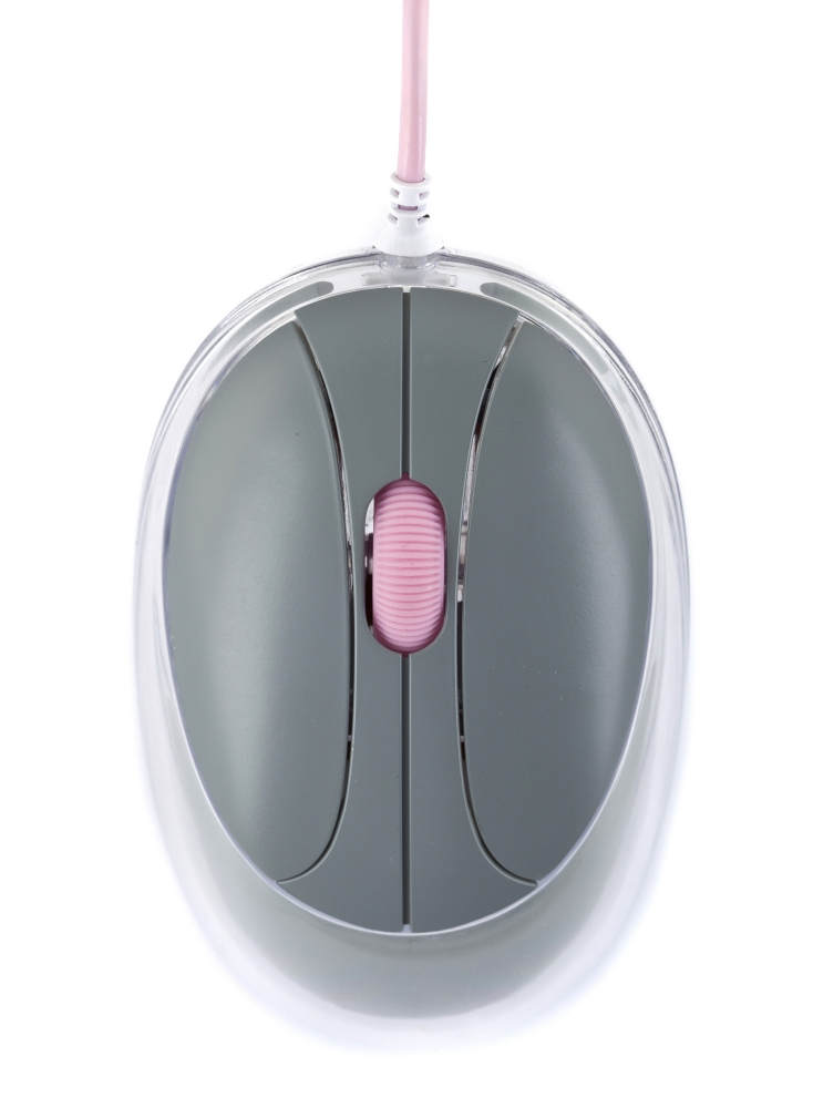 NGS Melinda Mouse – image 4