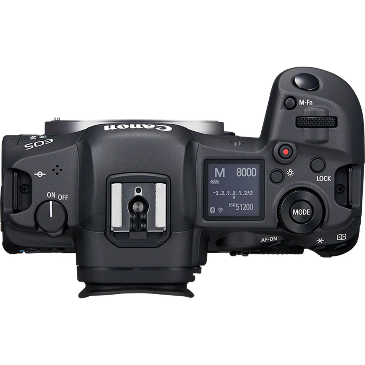 Canon EOS R5 + RF 24-105mm F4 L IS USM – image 6