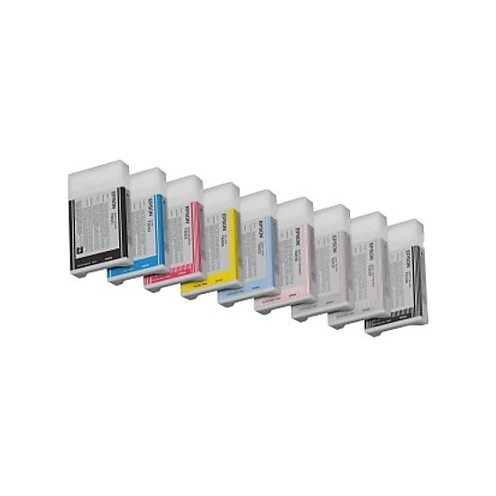 Epson Singlepack Photo Black T602100