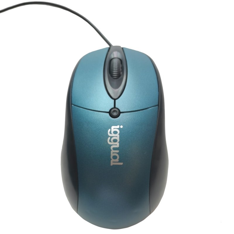 iggual IGG317532 mouse Office Ambidextrous USB Type-A Optical 800 DPI