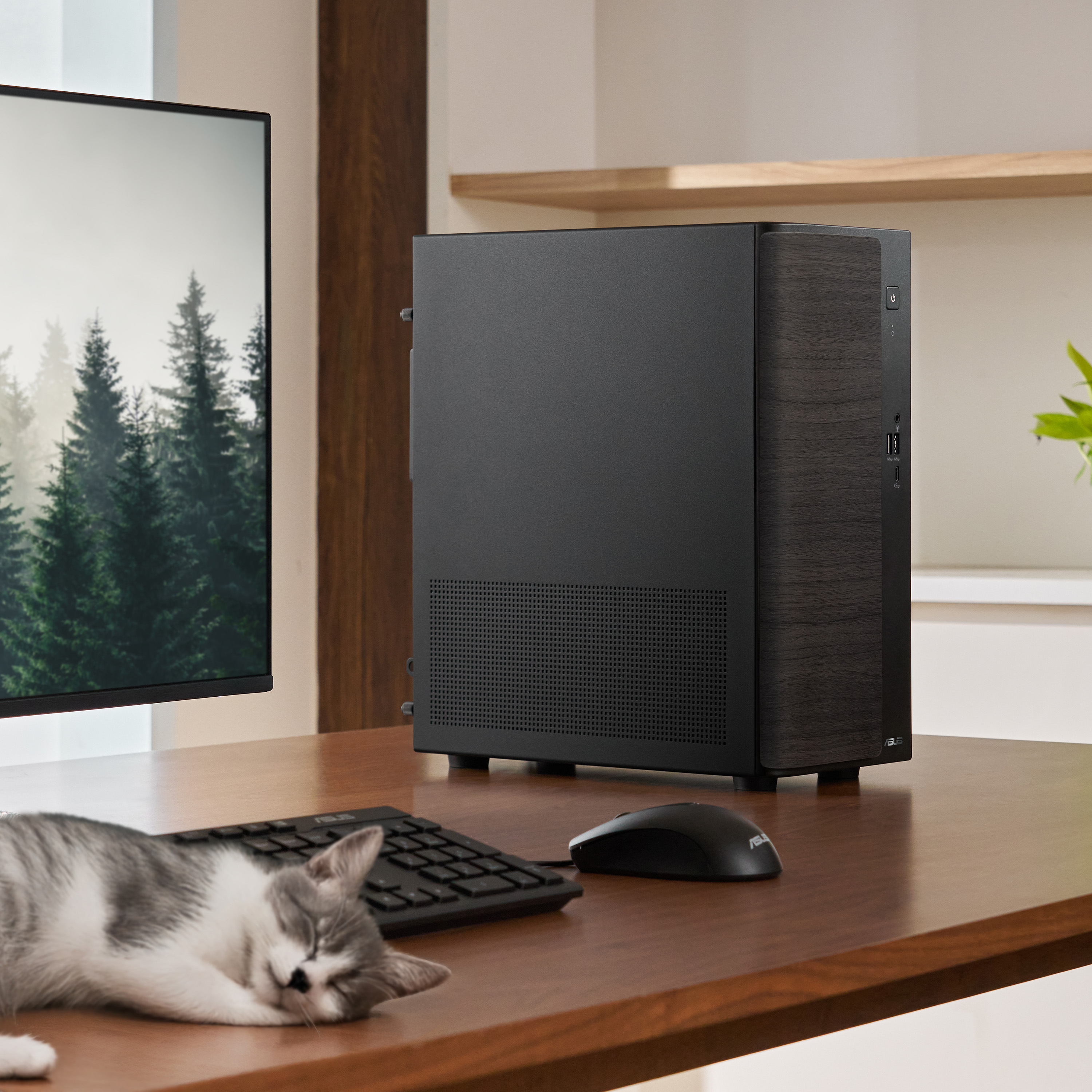 Product Gallery