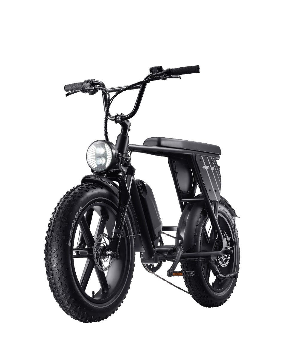 Acer Predator eNomad-R eBike – image 1