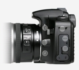 Canon EOS 40D + 17-85 mm + 70-300 IS USM – image 5