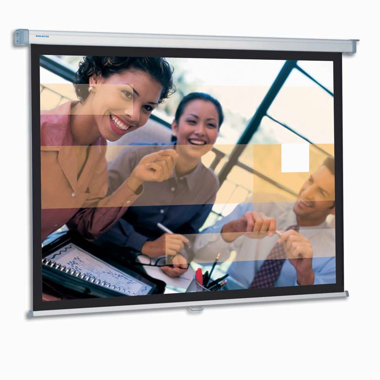 Da-Lite SlimScreen 145x145 Matte White S projektordukar 1:1