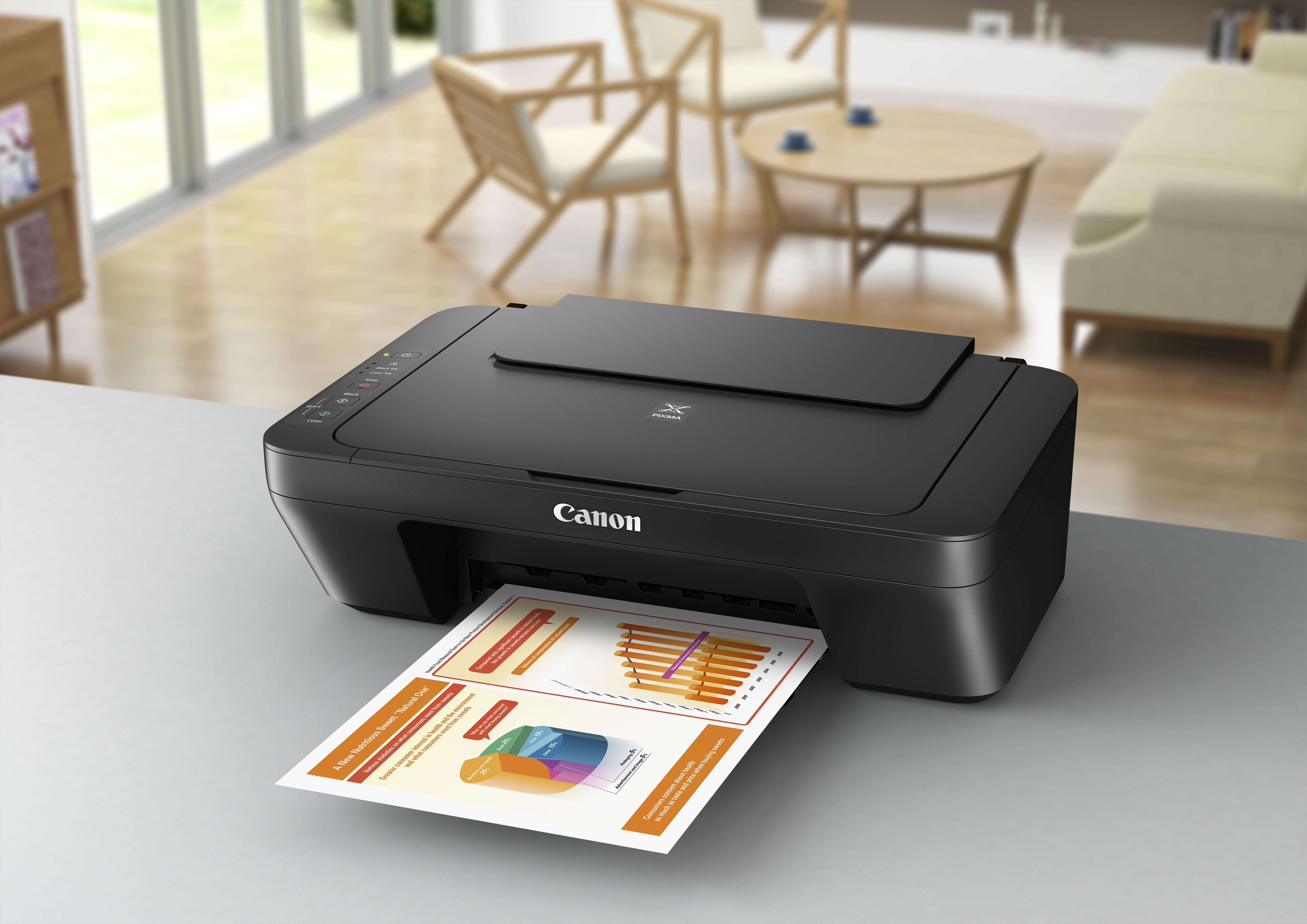 PIXMA MG2555S EUR2 Stampa, copia e scansione di alta qualit,8 ipm mono, 4 ipm colore - Miniatura 6