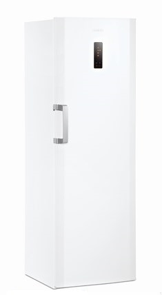 Beko SN145120 fridge Freestanding