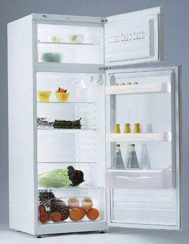 Candy CFD2550A fridge-freezer Freestanding