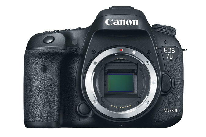 Canon 7D Mark II + 64GB SDXC – image 4