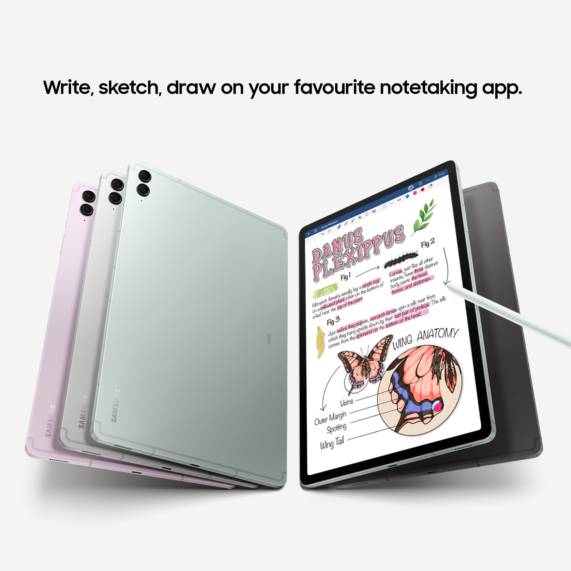 Product Gallery