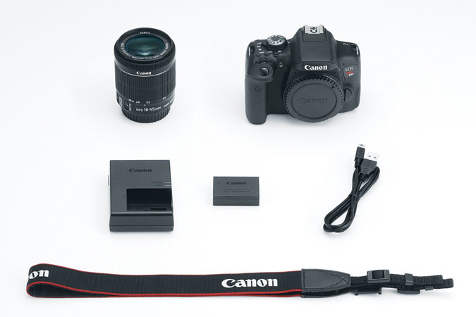 Canon Rebel T6i + EF-S 18-55mm f/3.5-5.6 IS STM + EF-S 55-250mm f/4-5.6 IS II – image 3