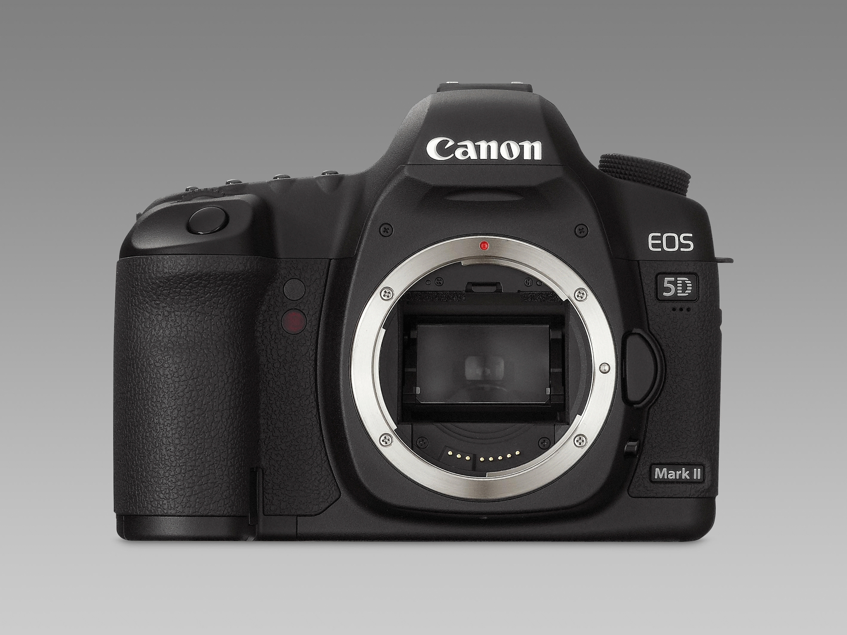 Canon 5D Mark II + Speedlite 270EX – image 5