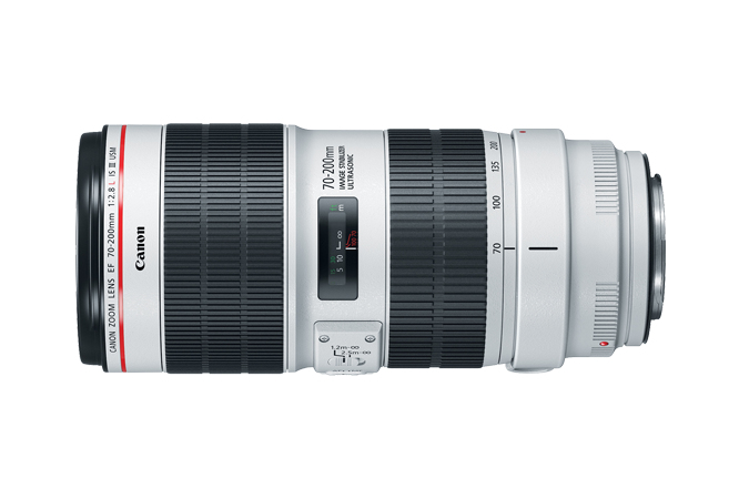 Canon 5D Mark IV + EF 70-200mm f/2.8L IS III USM – image 5