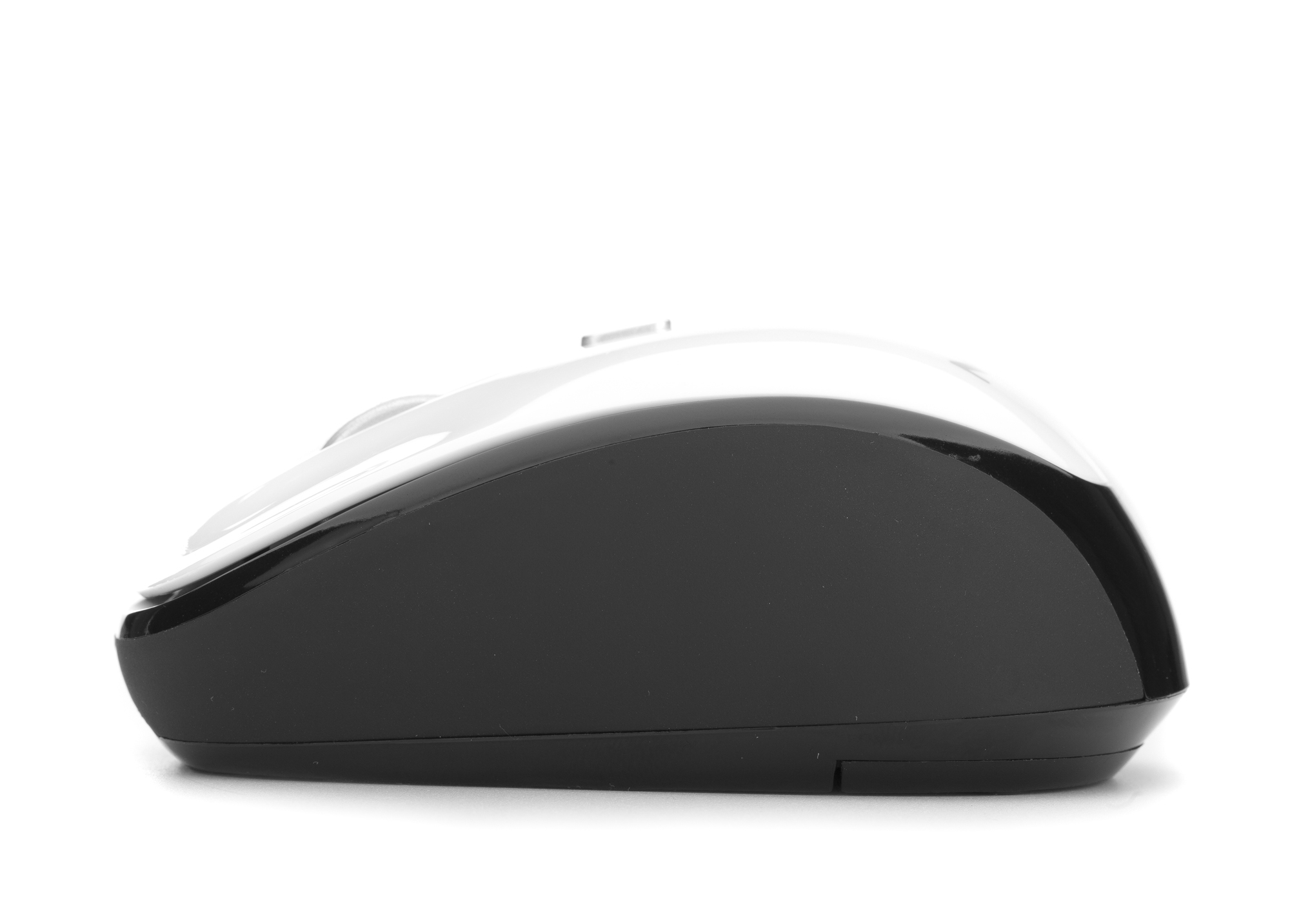 NGS Roly White – image 3
