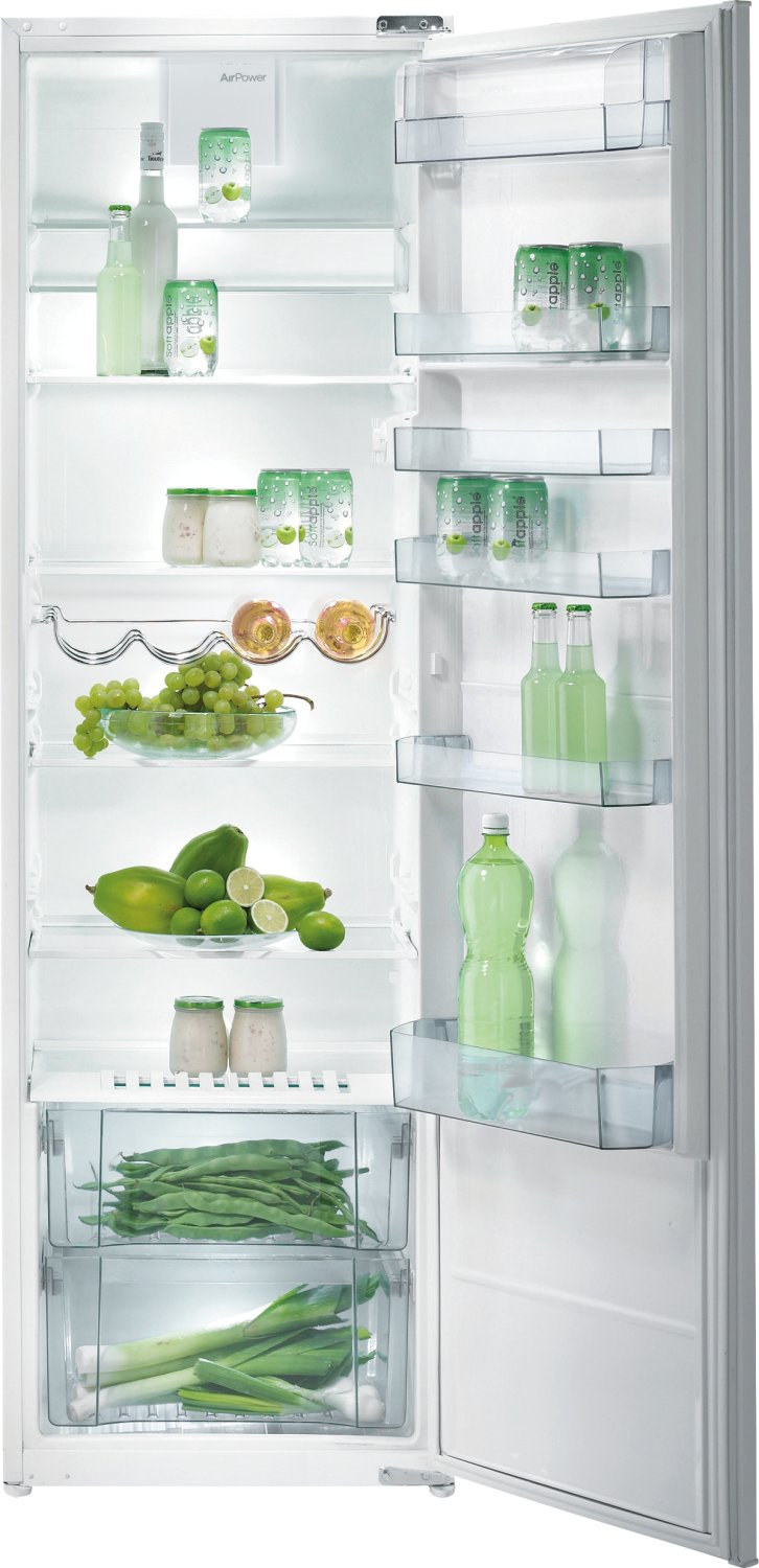 Gorenje RI4181BW fridge Built-in