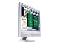 Philips 190B5CG \ 19i LCD \ 500:1\ 250 nits \ 25ms \ DVI + Ergo Base \ Grijs \