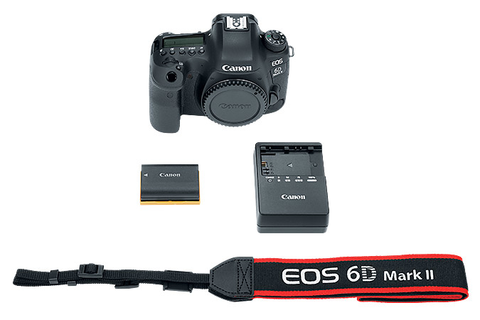Canon 6D Mark II + 24-70mm IS USM – image 6