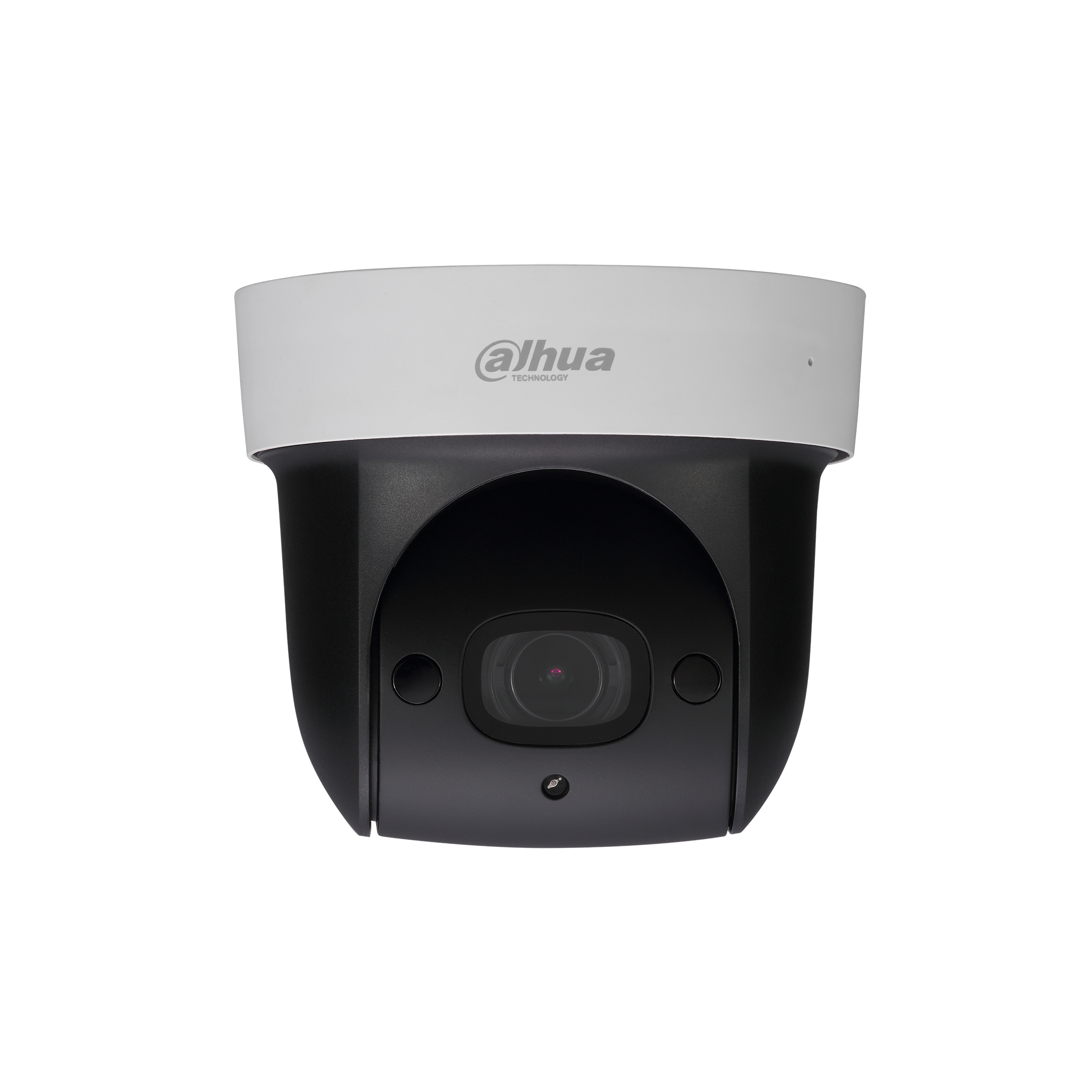 Dahua Technology Lite SD29204T-GN Dome IP security camera