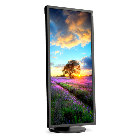 NEC EA294WMI-BK computer monitor – image 6