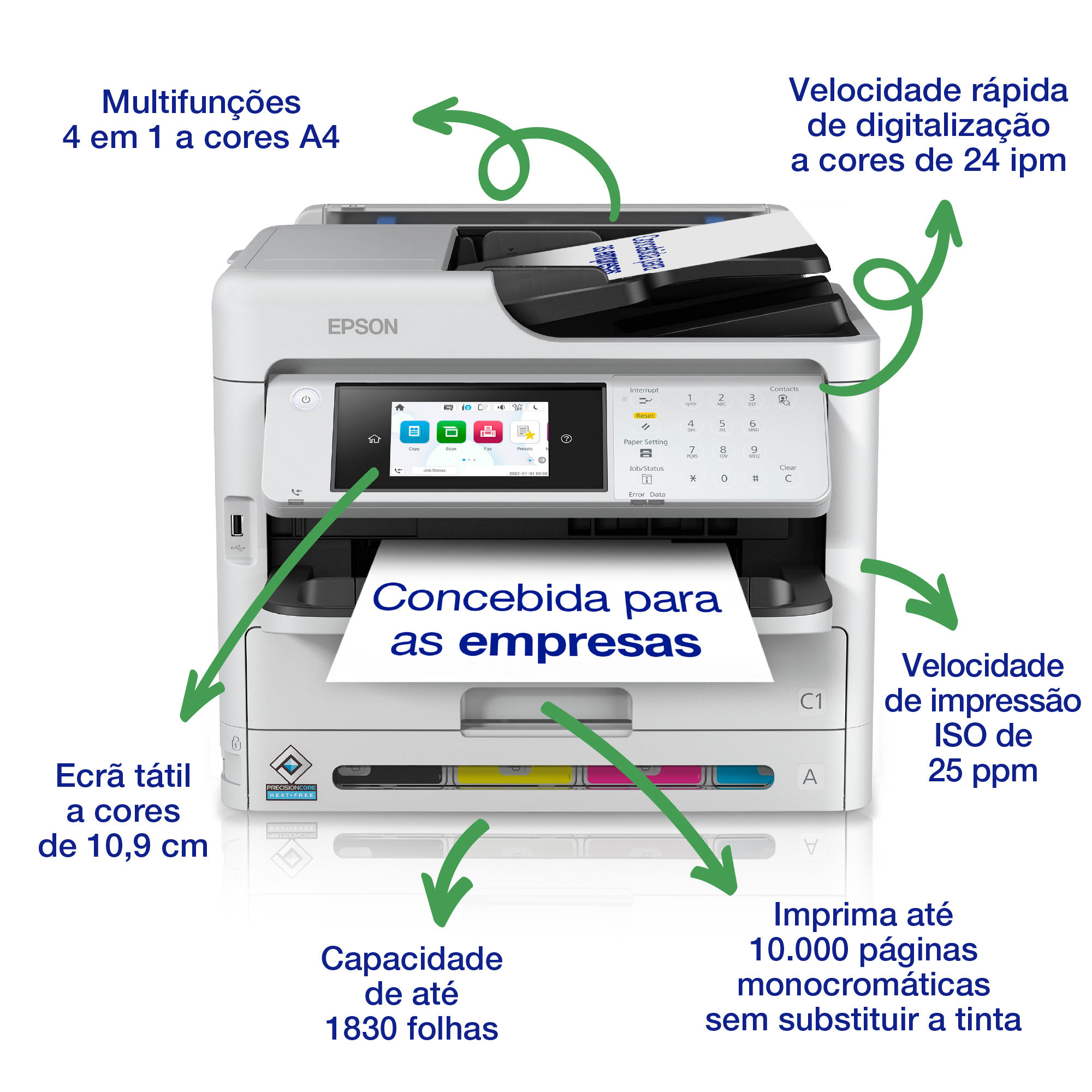Miniatura 11