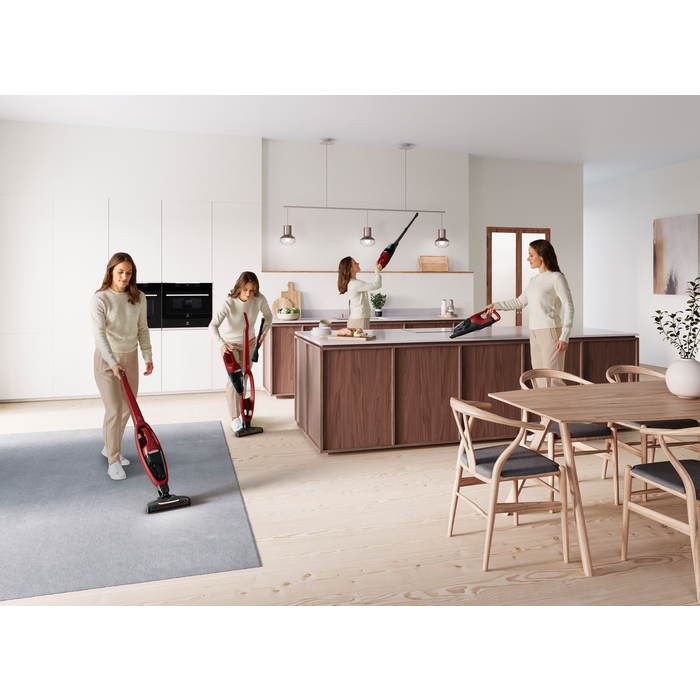 Electrolux WQ61-ANIMA 2-in-1 stick vacuum Battery Dry Cyclonic Bagless – image 5