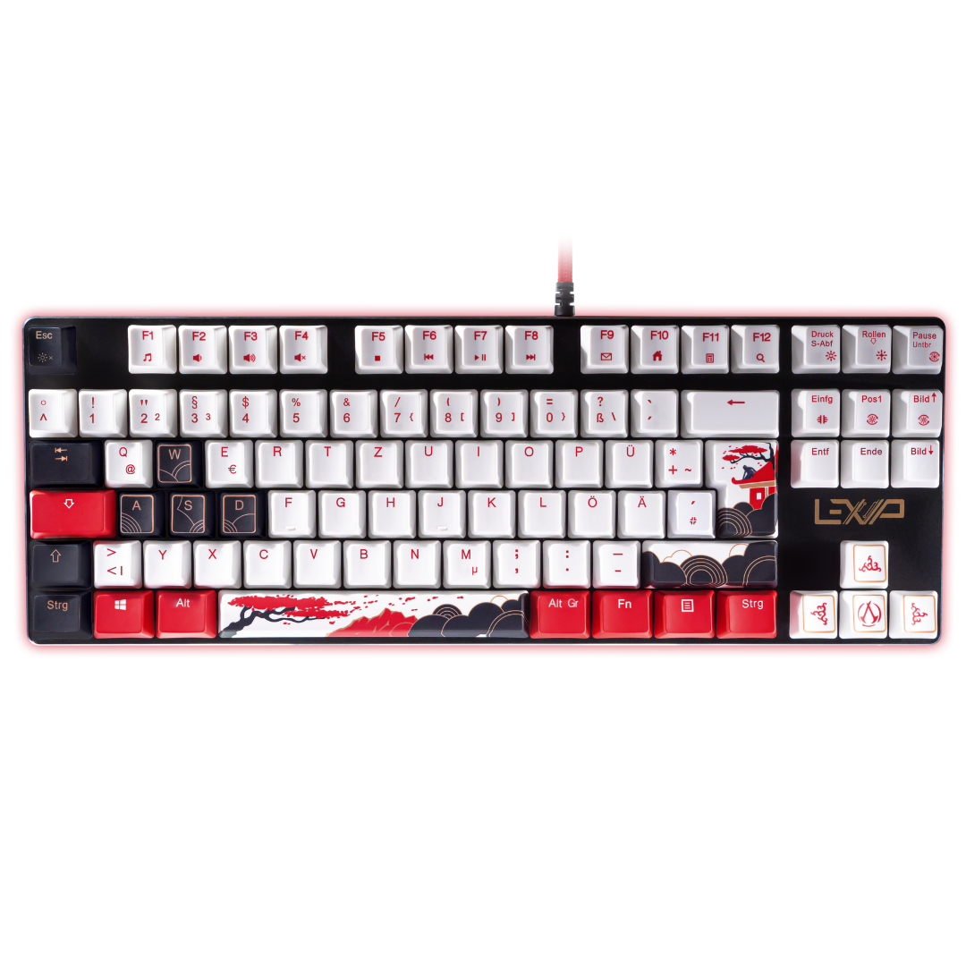 Lexip UBXLXKB0003 keyboard Gaming USB QWERTZ Multicolour – image 1