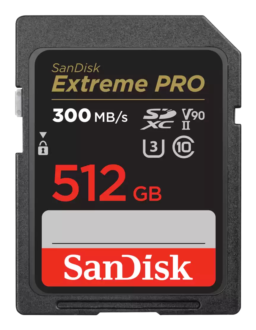 Seagate SDSDXDK-512G-GN4IN memory card